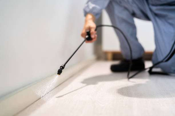 Licensed Fumigation Services service in Milford, OH - Nex Pest Control